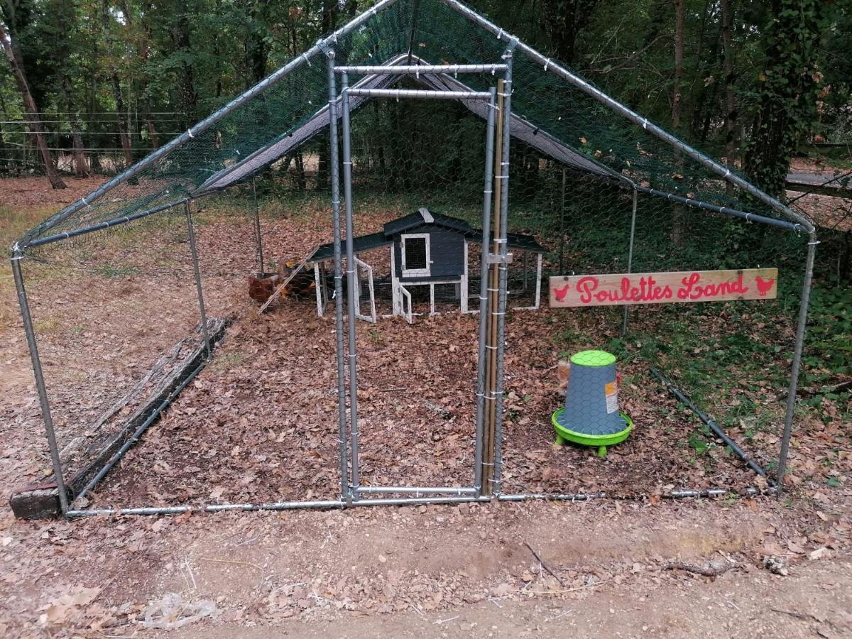 4-Gite 4 Personnes Avec Piscine Saint-Aubin-de-Nabirat Exterior foto